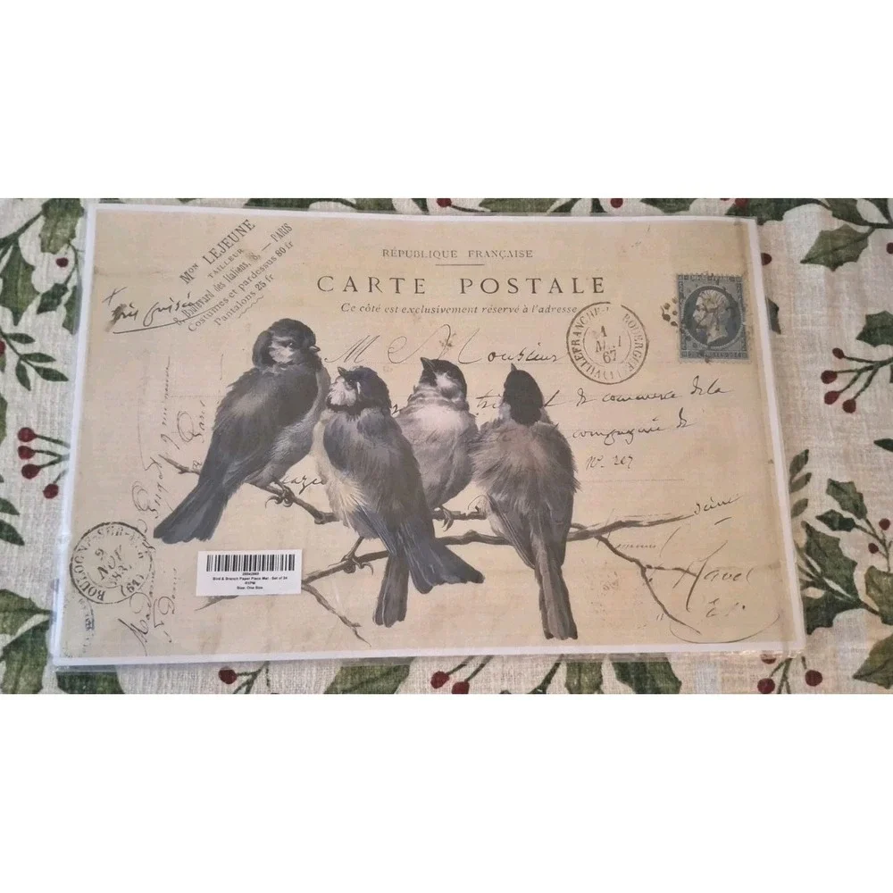 Monahan Papers Set of 23 Paper Placemats Vintage French Bird Postcard 11x17